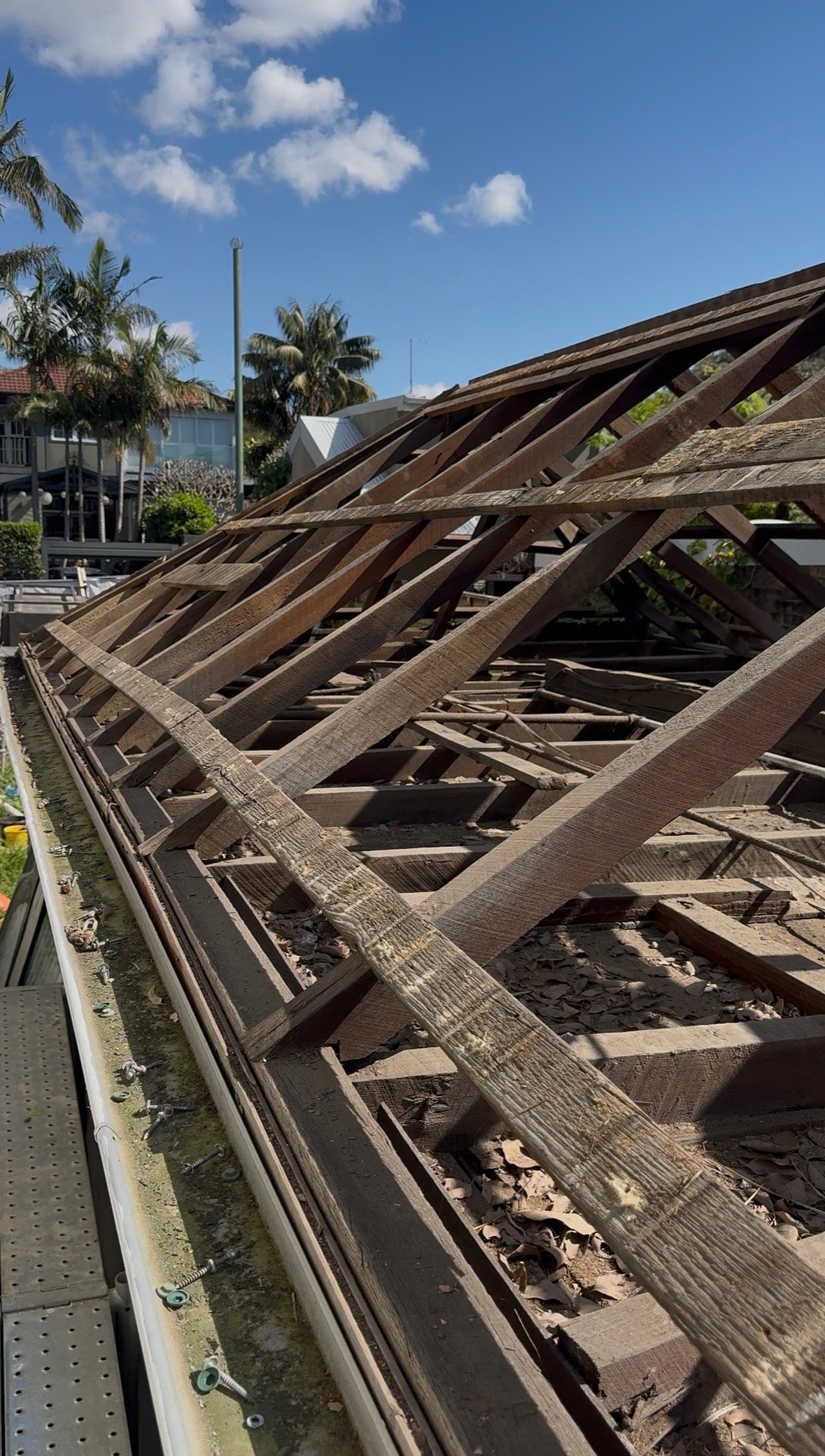 Roof frame exposed during demolition of the Clovelly cottage for knockdown rebuild, Black Willow Group